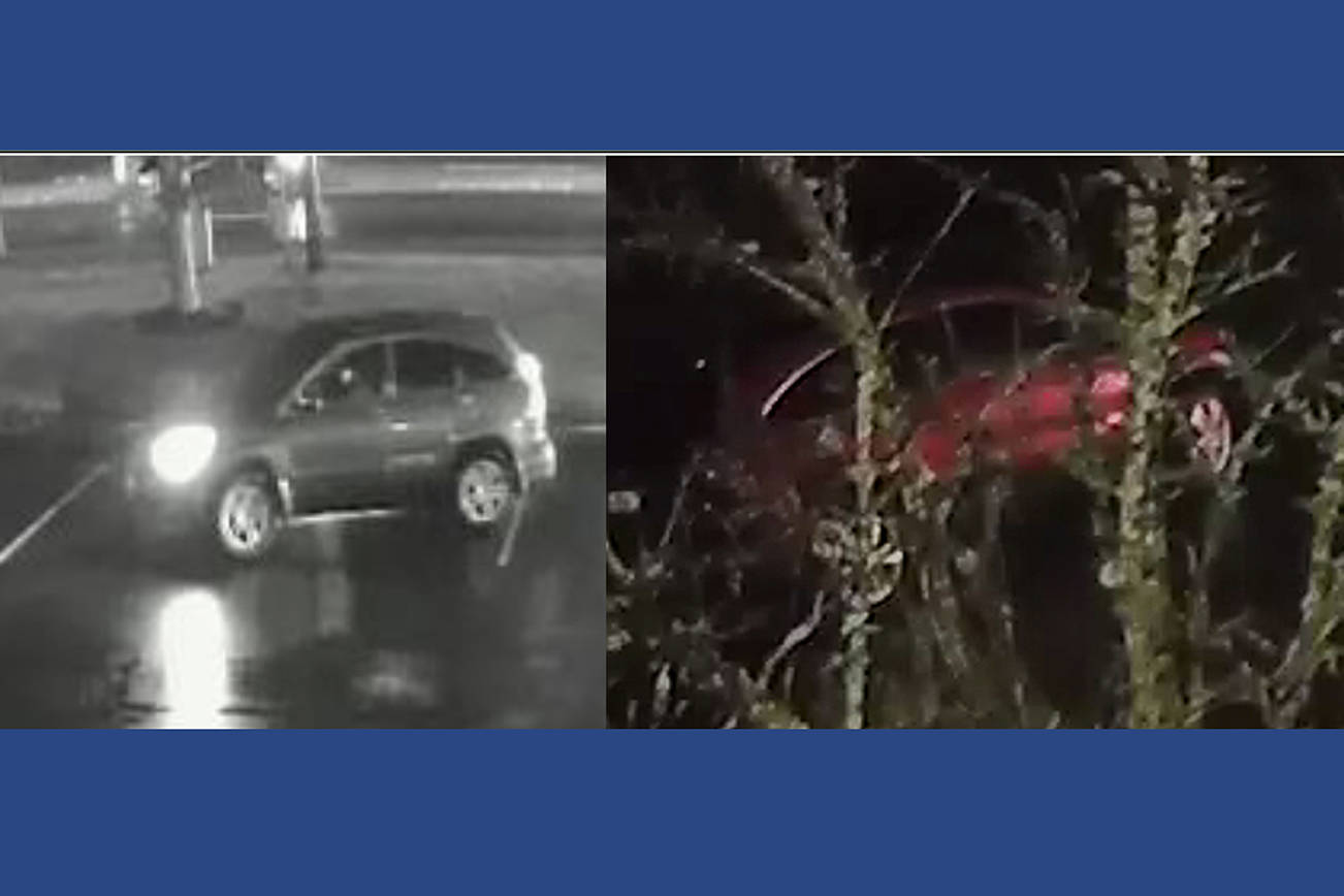 M’ville Police seek public’s help to ID possible witnesses to fatal hit and run