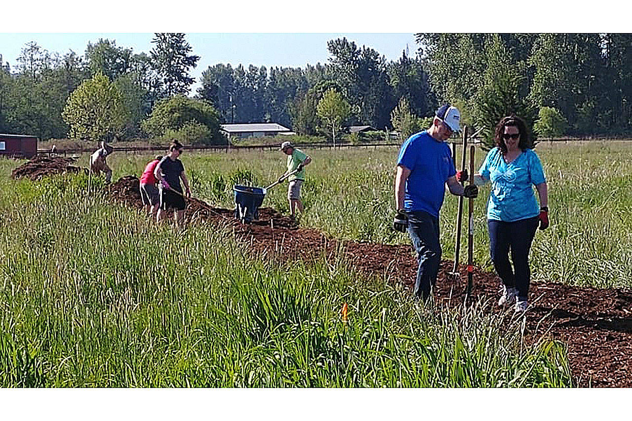 Volunteers work on the trail from Strawberry Fields to the dog park as part of a community service project involving a new group called the Marysville-Tulalip Family of Volunteers.