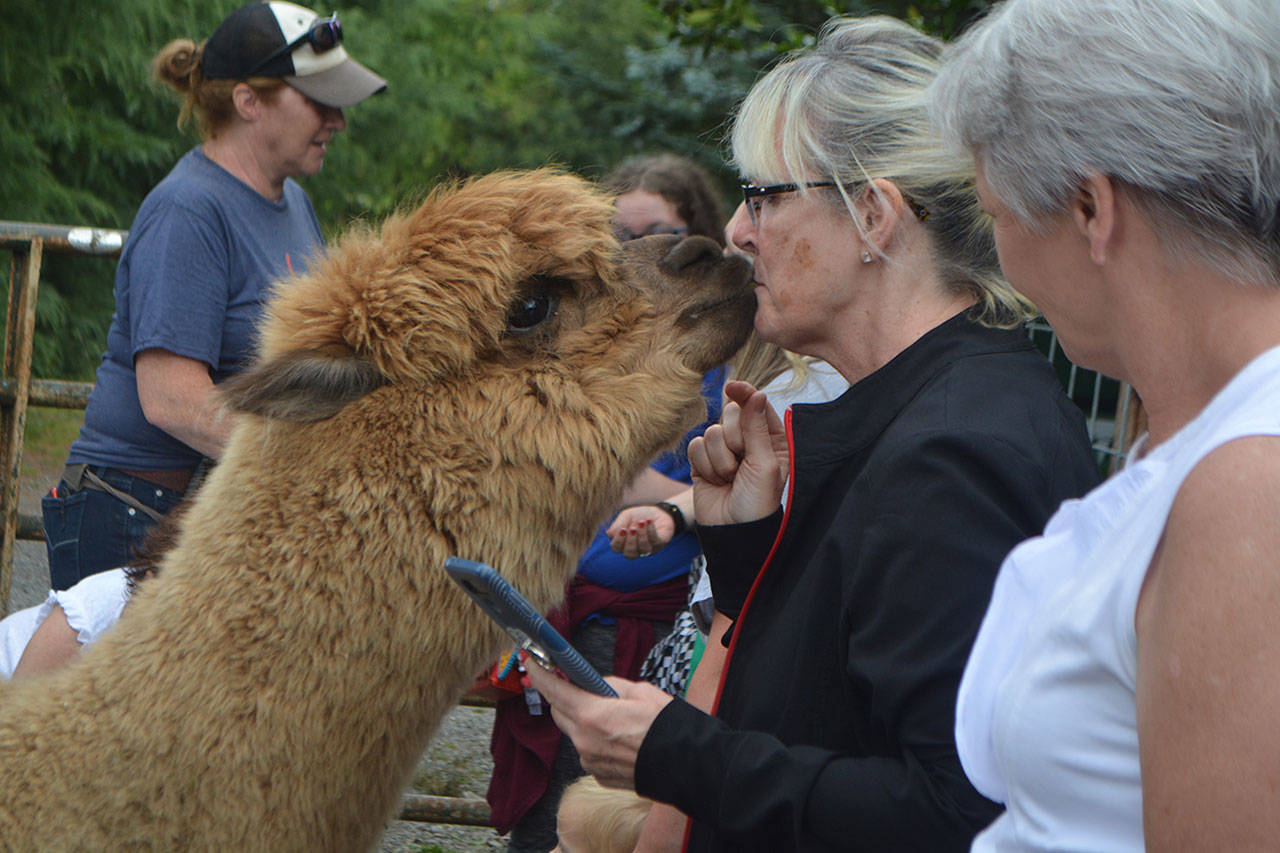 People keep hopping to Arlington kangaroo farm (slide show)