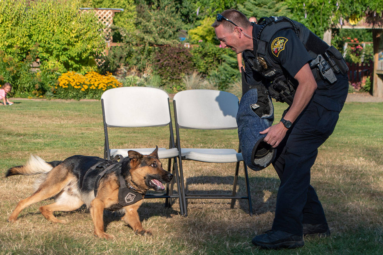 Officer Matthew Mishler works with K9 Copper at National Night Out in Marysville. (Kyla Emme/Courtesy Photo)