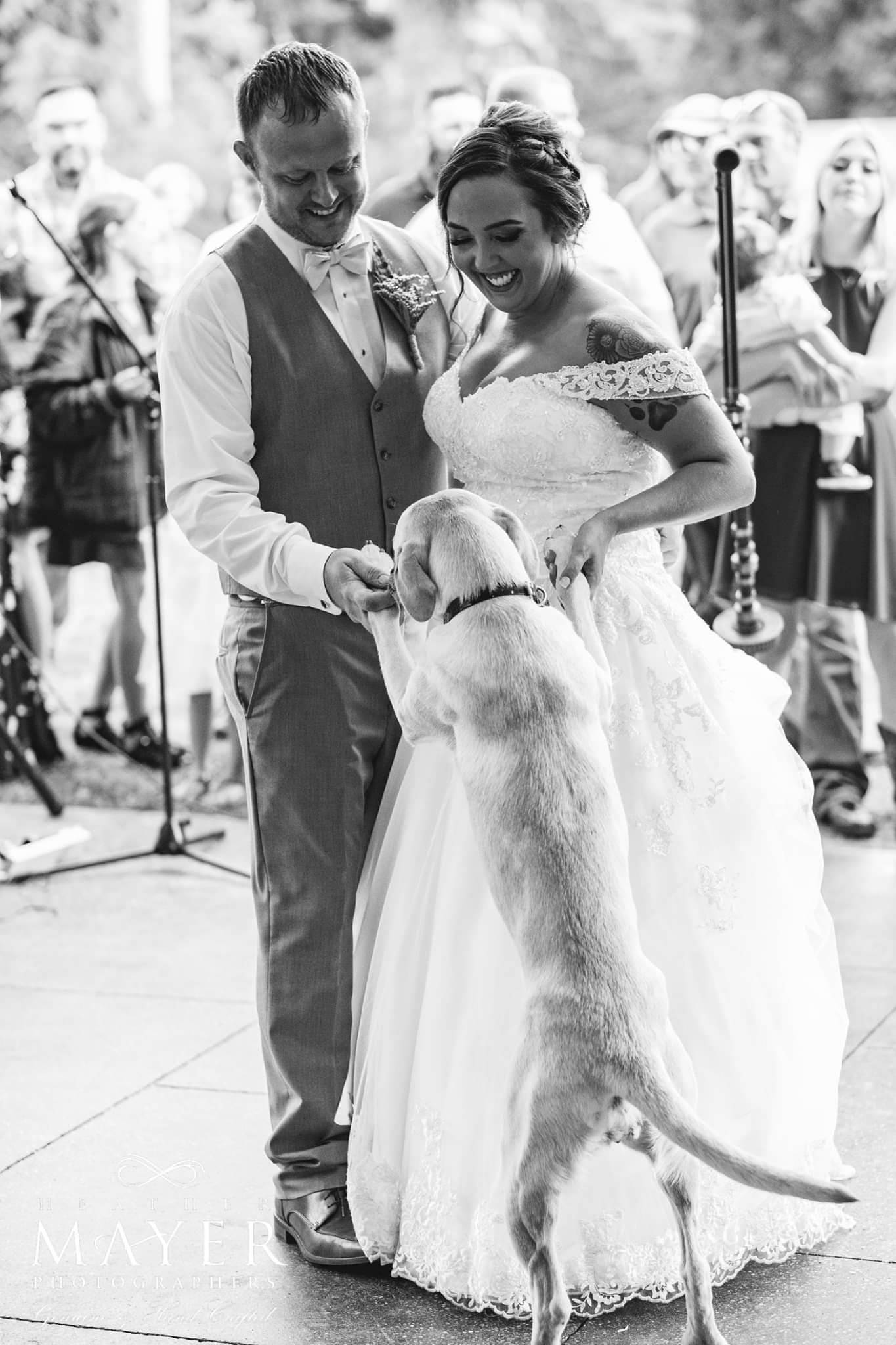 When Nicole and Seth Funden were recently married in Arlington, they wanted to include their family in their first dance, so they were joined by their dog. (Heather Mayer/Courtesy Photo)