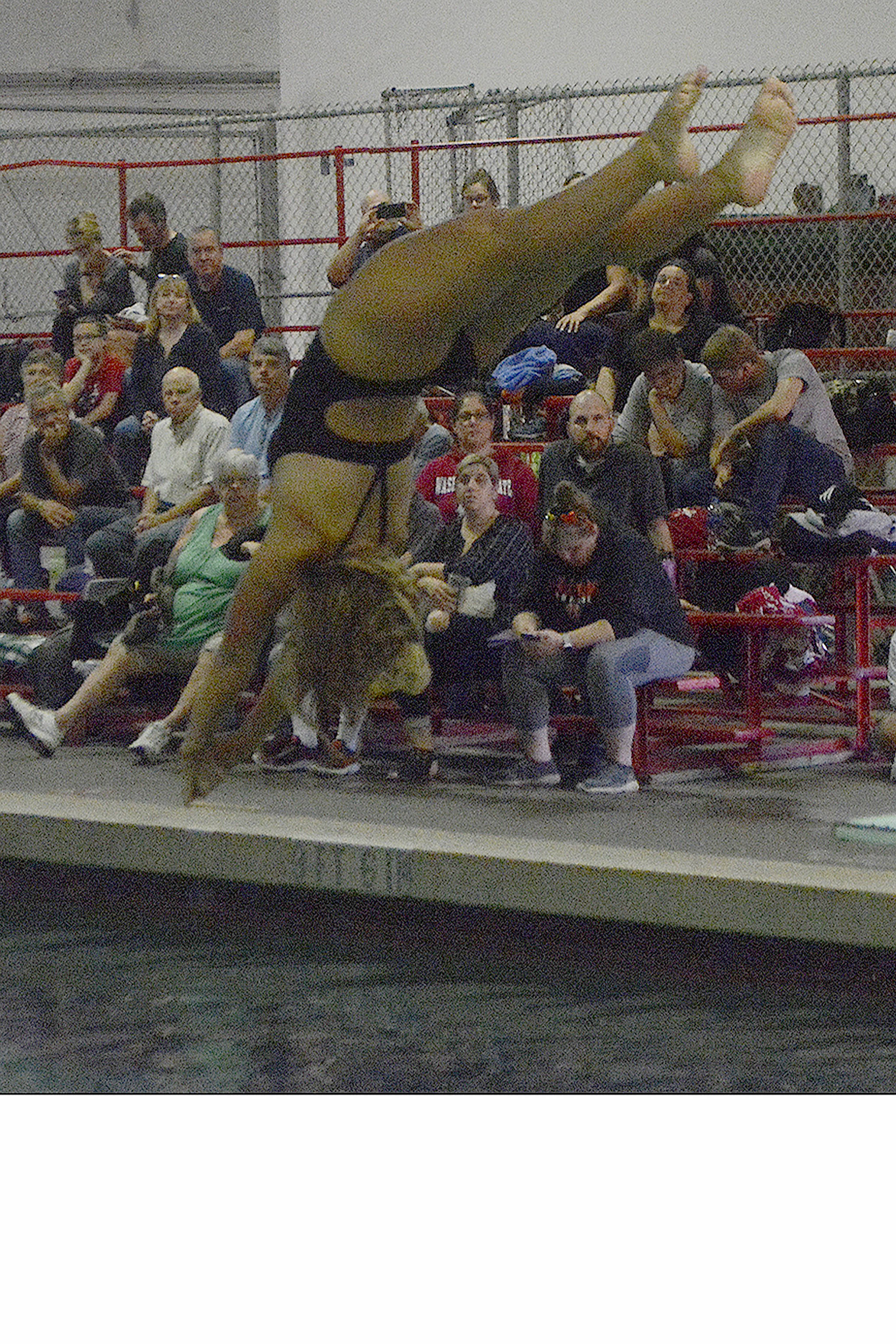 Arlington girls, boys win at the net