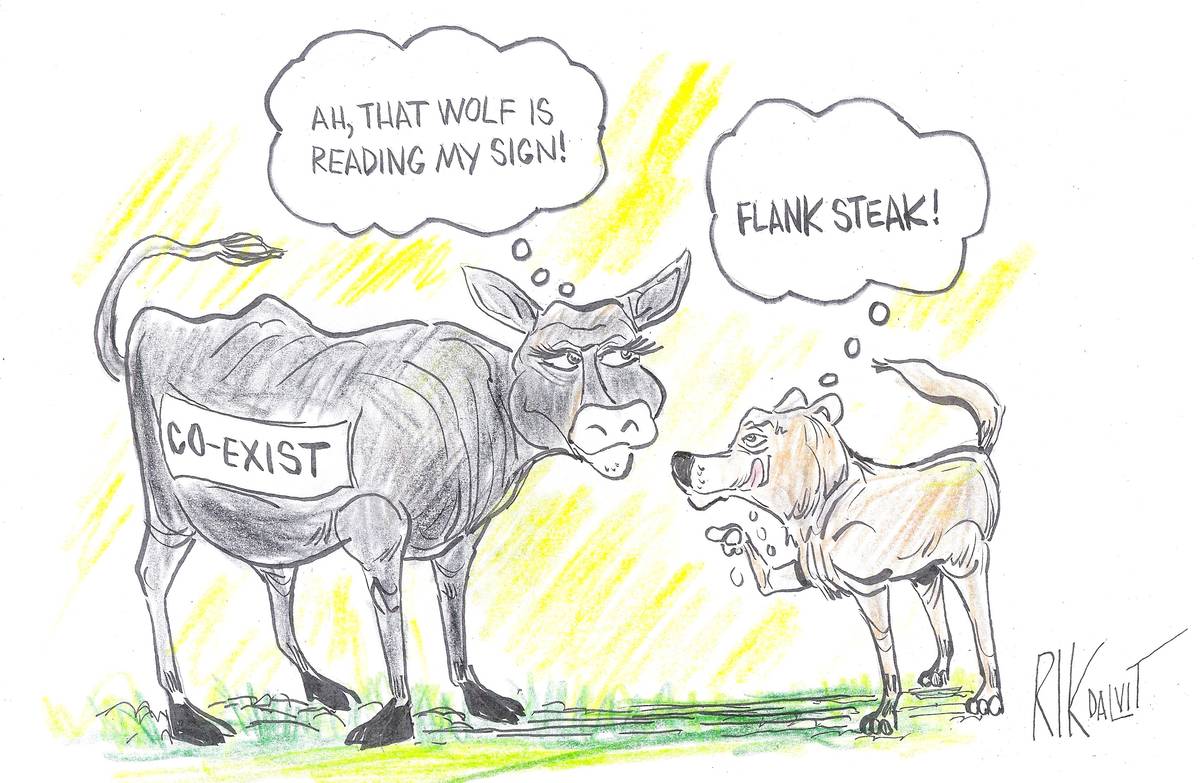 Political cartoons