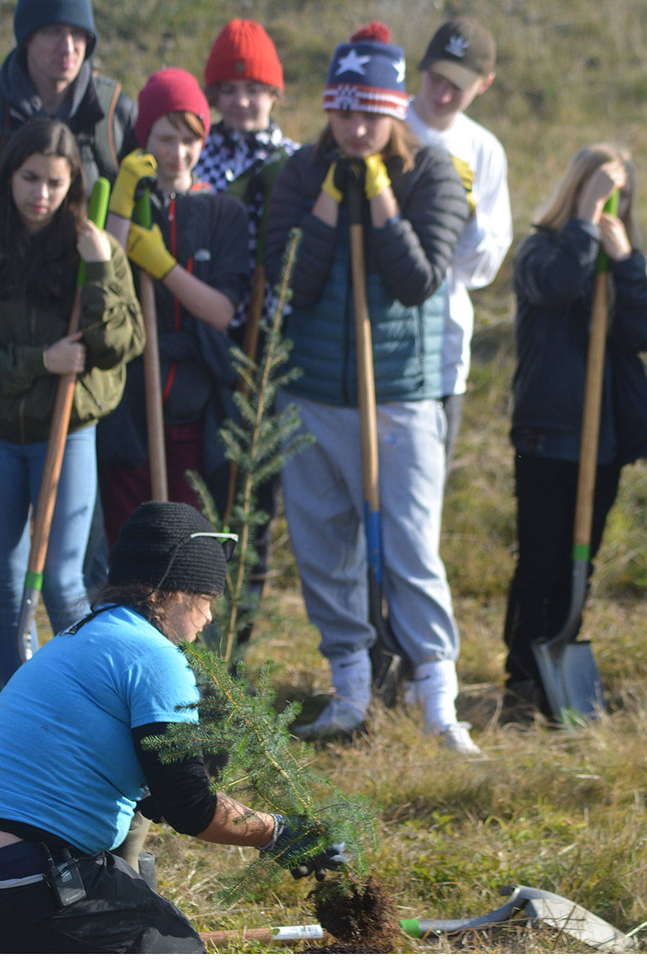 Volunteers plant trees at Marysville estuary