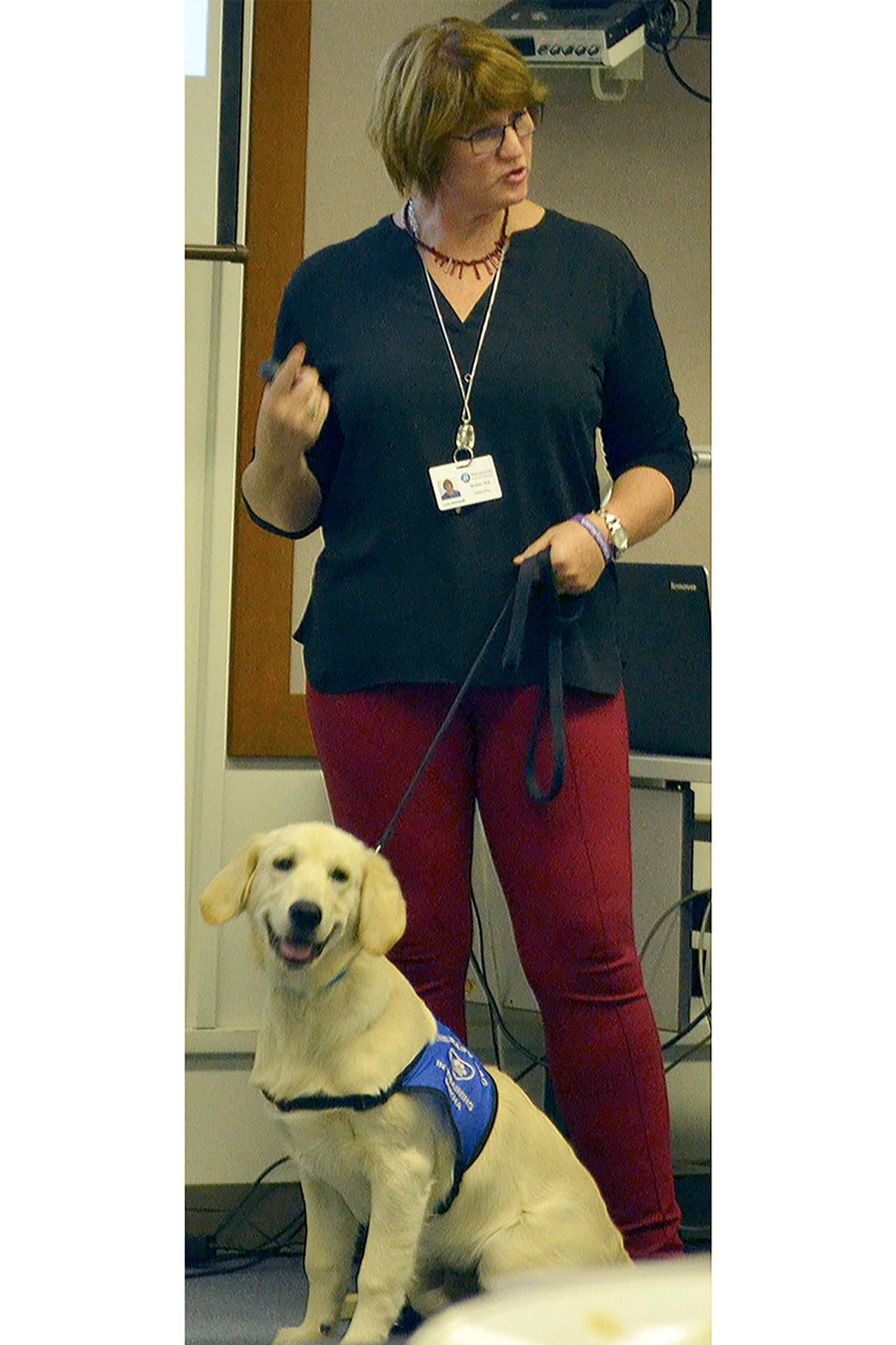 Steve Powell/File Photo                                 Lynn Heimsoth and her therapy dog at a work session in Marysville three years ago.