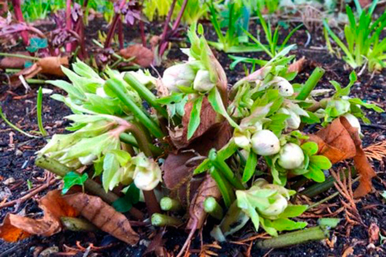 It’s time to get down and dirty in the garden again