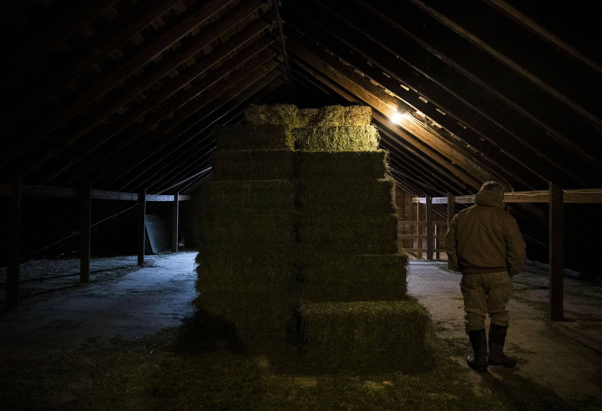 John Connolly walks through his hay loft at On The Lamb farm Tuesday in Arlington. (Olivia Vanni / The Herald)