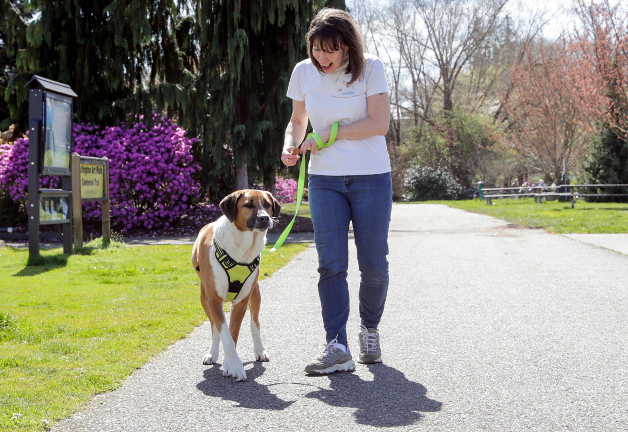 Jennifer Savage, with her dog, Maggie, owns and operates CityBones, a dog treat bakery, out of her home in Darrington. (Kevin Clark / The Herald)