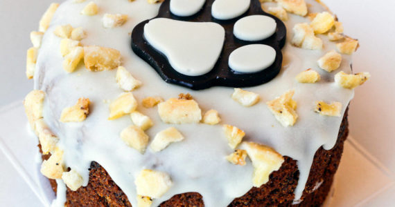 A blueberry banana cake created by Jennifer Savage of CityBones, a dog treat bakery out of Darrington, Washington. (Kevin Clark / The Herald)