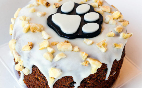 A blueberry banana cake created by Jennifer Savage of CityBones, a dog treat bakery out of Darrington, Washington. (Kevin Clark / The Herald)