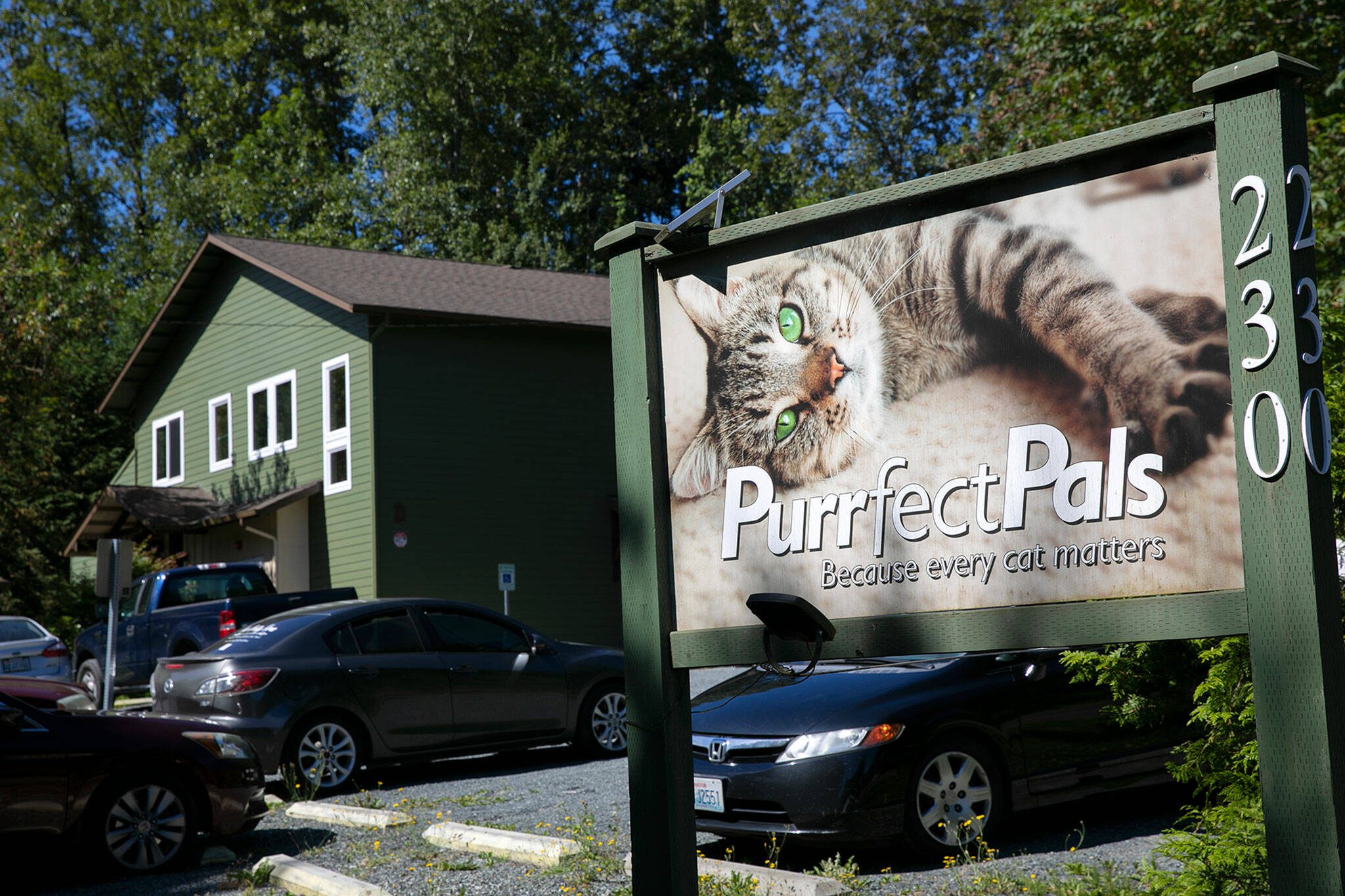 A sign greets visitors July 20 at Purrfect Pals Cat Sanctuary near Arlington. (Ryan Berry / The Herald)