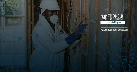 Personal Mold Remediation Water Damage Clean up and restoration service,  Friendly Customer Care100% Guaranteed Workmanship Licensed, Bonded, and Insured